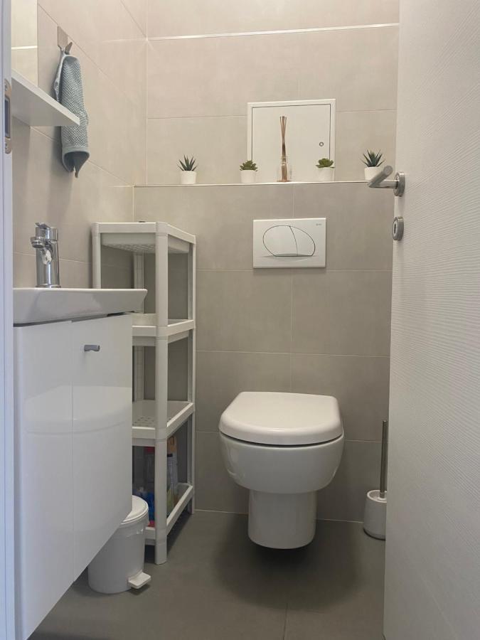 Danijela Apartment Rijeka Bagian luar foto