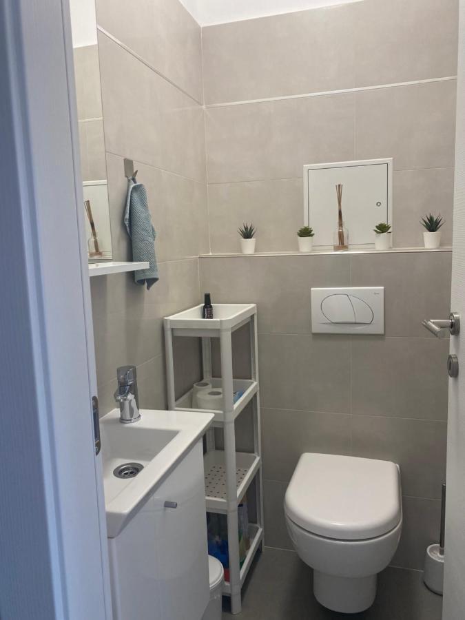 Danijela Apartment Rijeka Bagian luar foto