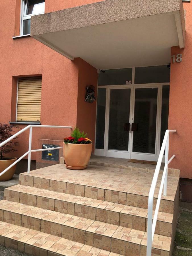 Danijela Apartment Rijeka Bagian luar foto