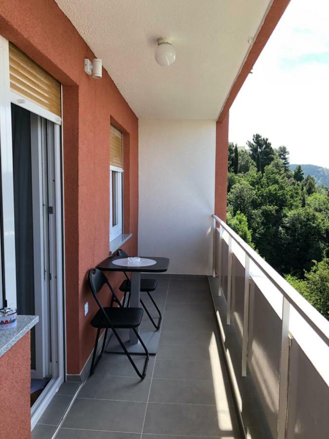 Danijela Apartment Rijeka Bagian luar foto